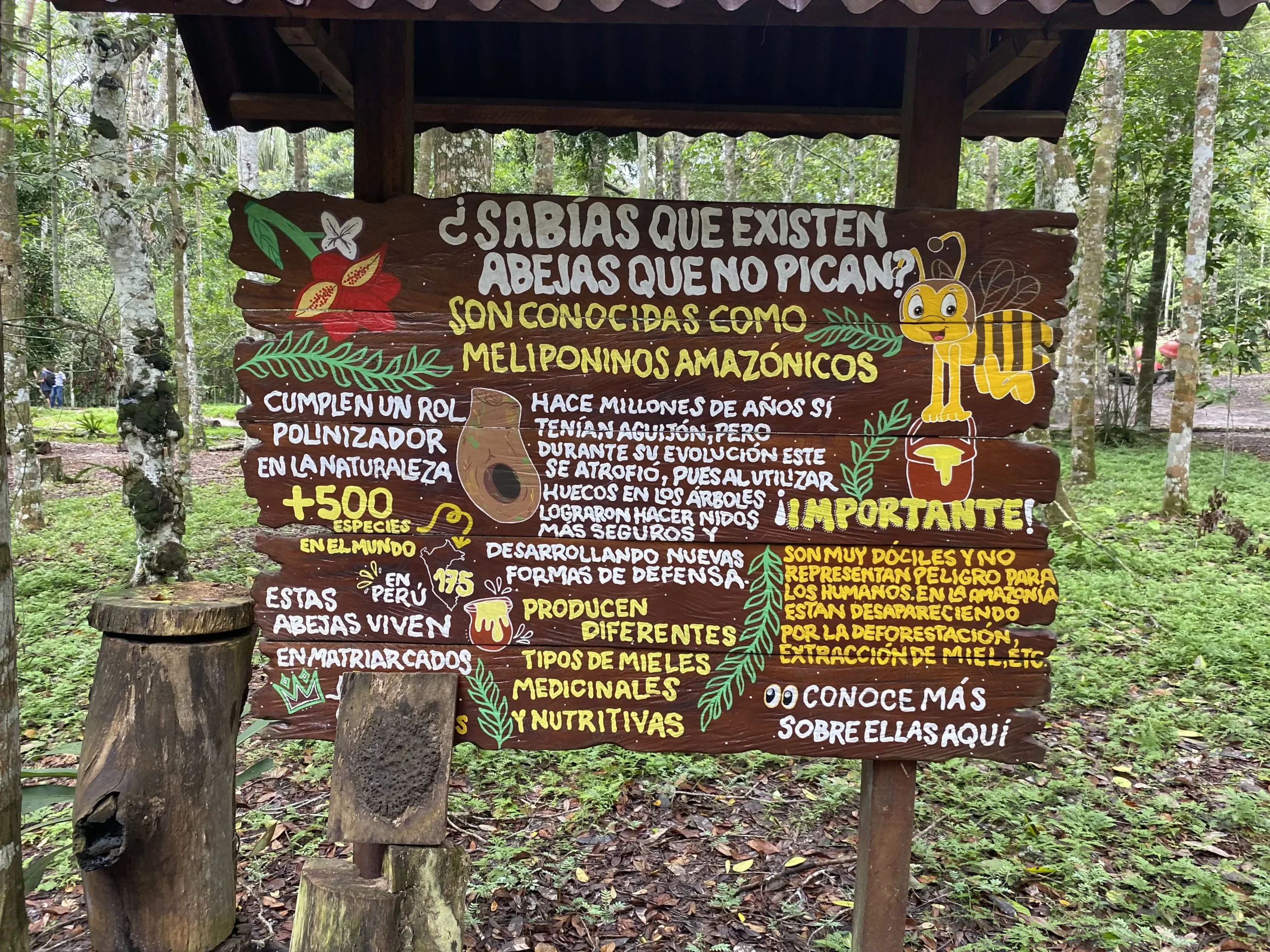 Healing Forest 3